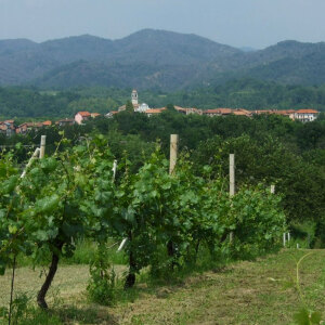 Vigne Bramaterra Castelletto Villa